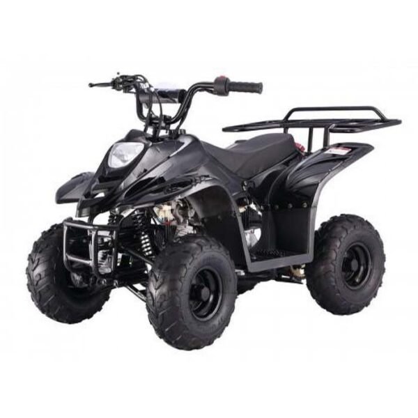 Tao Boulder 110cc