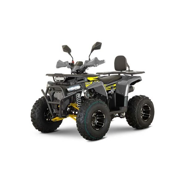 Բենզինային կվադրոցիկլ Dazzle Forte Pro AFN 125cc